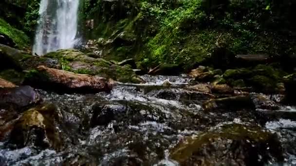 Waterfall Tropical Rainforest Asia Waterfall Middle Beautiful Forest — Stock Video