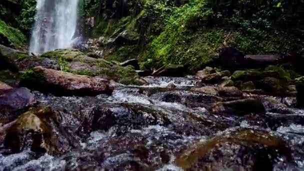 Vízesés Trópusi Esőerdőben Ázsia Vízesés Közepén Egy Gyönyörű Erdő — Stock videók