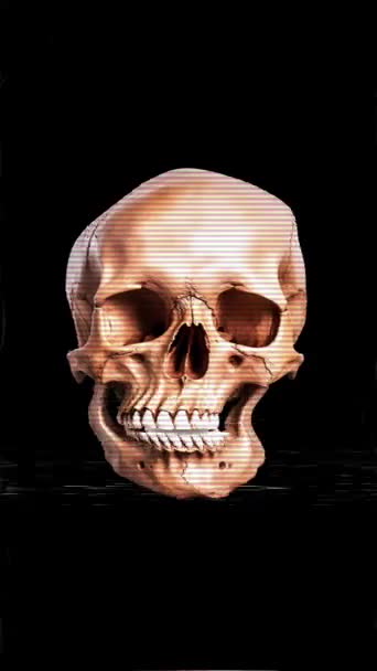 Video Skull Background Halloween — Stock Video