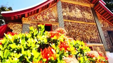 Dağlardaki Budist tapınağı