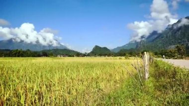 Vang Vieng şehrinin pirinç tarlası ve manzarası, Laos, Laos turizmi için video klibi.