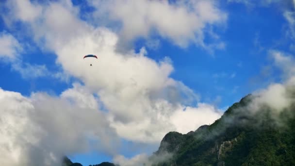 青空の上のパラグライダー パラセーリング中の夏の自由 — ストック動画
