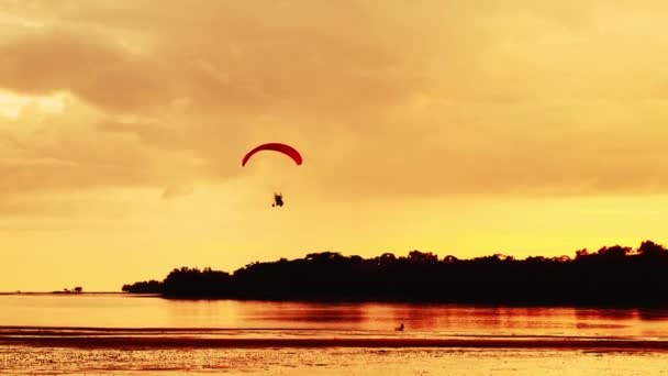 日没時に海を飛ぶパラグライダーのシルエット — ストック動画