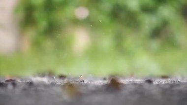 Küresel iklim değişikliği nedeniyle sağanak yağış, yavaş çekimde artan yağış