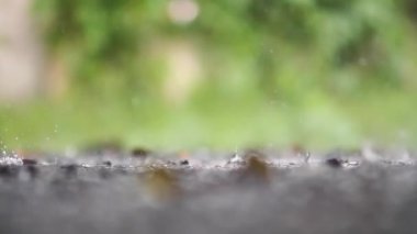 Küresel iklim değişikliği nedeniyle sağanak yağış, yavaş çekimde artan yağış