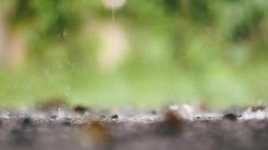 Küresel iklim değişikliği nedeniyle sağanak yağış, yavaş çekimde artan yağış