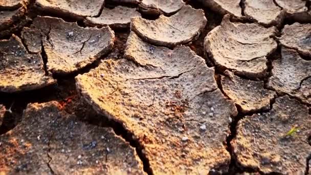 Sucha Gleba Spowodowana Suszą Globalnym Ociepleniem Koncepcja Globalnej Zmiany Klimatu — Wideo stockowe