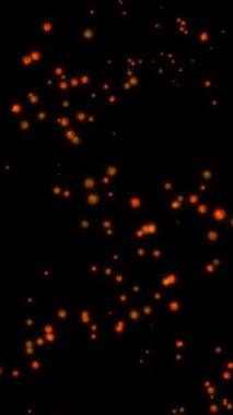 Parlak turuncu bokeh parçacıklarının döngü hareketlerinin grafikleri siyah arkaplanda akmaktadır
