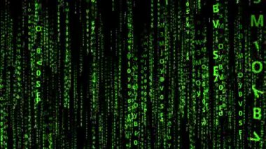 Matrix bilgisayar ağı eğitimi ve öğrenimi