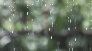 Yağmur mevsiminde yağmur damlaları düşer, yavaş çekimde