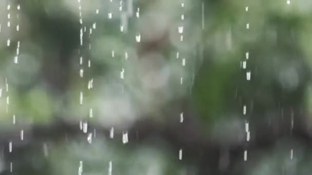 Gocce Pioggia Cadono Nella Stagione Delle Piogge Rallentatore — Video Stock