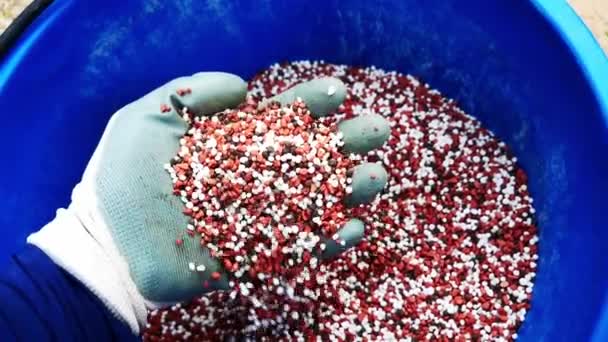 Gloved Hand Pours Fertilizer Pellets Concept Research Formula Chemical Fertilizer — Stock Video
