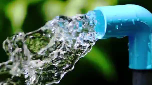 Agua Limpia Que Fluye Tubería Azul Sobre Fondo Borroso Verde — Vídeos de Stock