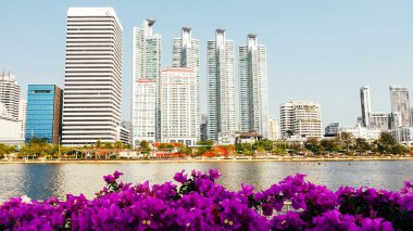 Bangkok Şehri - Şehir merkezi İş Bölgesi ve Şehir Bölgesi 