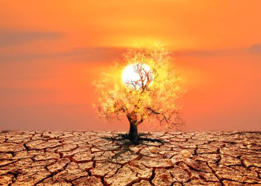 Alevlerle kaplanmış yapayalnız bir ağaç, iklim değişikliğini ve çevresel krizi temsil eden, turuncu, yakıcı bir günbatımı gökyüzünün altında, çatlamış, kuru bir toprak üzerinde duruyor..