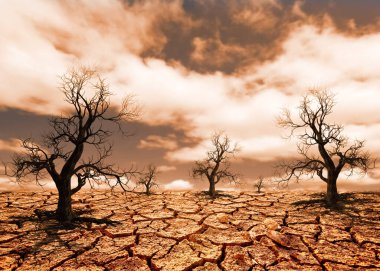 Kırık toprak ve yapraksız ağaçlarla dolu, kuraklığın ve iklim değişikliğinin etkilerini vurgulayan çorak bir arazinin çarpıcı bir resmi..