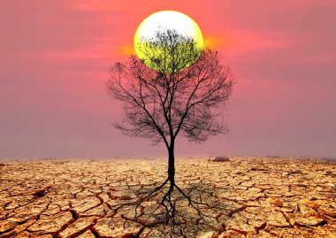 Çatlamış bir çöl manzarasında, iklim değişikliği ve çevresel zorluklar temalarını vurgulayan canlı bir günbatımının altında tek bir ağaç duruyor..