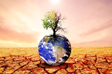 Çatlak bir çölde büyüyen bir ağacın çarpıcı görüntüsü çevresel değişimi ve iklim krizini sembolize ediyor..