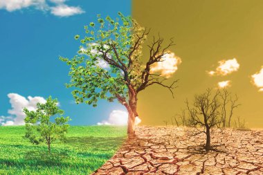 Sağlıklı bir yeşil ağaç ile çayırlık arazi arasındaki zıtlığı gösteren bölünmüş görüntü, kuru ve çorak bir ağaçla çatlamış toprak arasındaki zıtlık, iklim değişikliğini ve çevresel etkiyi simgeliyor..