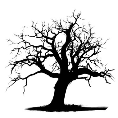 Yapraksız bir ağacın çarpıcı silueti beyaz arka planda dalları olan, minimalist güzelliği gösteren.
