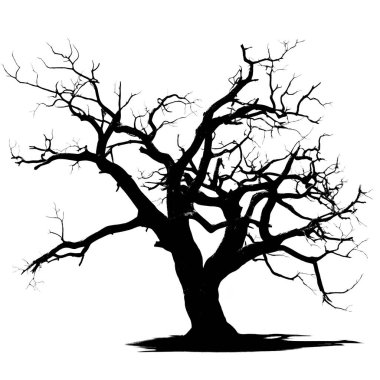 Beyaz arka planda dalları olan çıplak bir ağacın silüeti, doğa ve minimalist temalar için ideal..