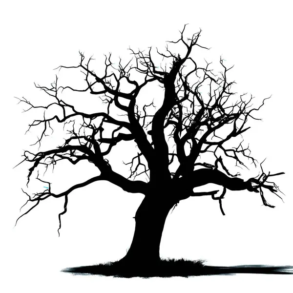 Yapraksız bir ağacın çarpıcı silueti beyaz arka planda dalları olan, minimalist güzelliği gösteren.
