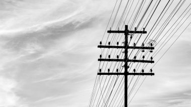 Bulutlu bir gökyüzünde uzanan elektrik hatlarıyla bir telefon direğinin tek renkli görüntüsü, minimalist ve endüstriyel bir estetiği yakalıyor..
