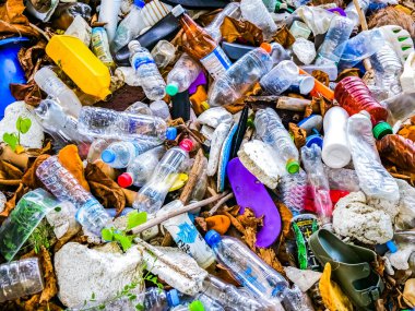 Çevre kirliliği ve geri dönüşüm ihtiyacını vurgulayan, atılmış plastik şişe ve atık dolu canlı bir koleksiyon.