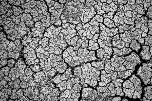 stock image High-resolution black and white image of cracked dry earth, emphasizing drought conditions and environmental concerns.