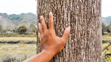 Bir insan elinin doğal bir şekilde bir ağaç gövdesinin kabuğuna dokunması doğayla olan bağlantısını gözler önüne seriyor..