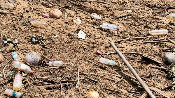 Plastik şişeler ve molozlarla dolu kumlu bir sahil, kirliliğin doğal ortamlar üzerindeki etkisini gösteriyor..