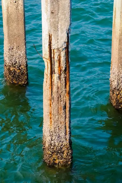 Turkuaz sudaki yıpranmış beton kazıkların yakın çekimi, kabuklu deniz hayvanları ve paslı detaylar.