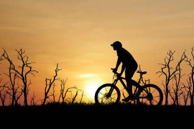 Gün batımında arka planda çıplak ağaçlarla bisiklete binen bir bisikletçinin silüeti huzurlu ve huzurlu bir sahne yaratıyor..