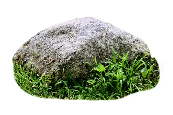 Yüksek çözünürlüklü yeşil çimenli büyük bir kayanın görüntüsü beyaz arka planda izole edilmiş, peyzaj ve bahçe tasarımı projeleri için mükemmel..