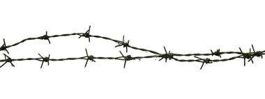 Beyaz arka planda paslı dikenli tellerin detaylı görüntüsü güvenlik, koruma ve sınırları simgeliyor..
