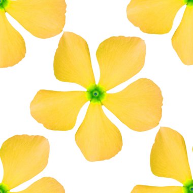 Beyaz arka planda parlak sarı çiçek yaprakları olan kusursuz bir desen. Tekstil, duvar kağıtları ve dijital tasarımlar için mükemmel..