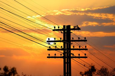 Enerji hatları canlı bir günbatımı gökyüzüne karşı siluetlendi, doğa ve teknolojinin çarpıcı bir kontrastını yarattı..