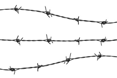 Beyaz bir arkaplan üzerine dikenli tellerin detaylı yakın planı, güvenlik, koruma ve sınırlar için ideal.