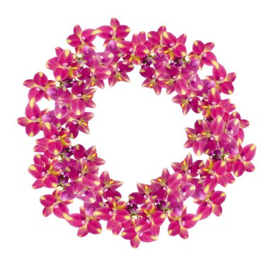 Canlı pembe orkide çiçeklerinden oluşan dairesel bir düzenleme. Çiçek tasarımı ve dekorasyonu için mükemmel..
