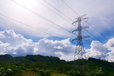 Yüksek bir elektrik direği, yemyeşil bir zemin ve bulutlu parlak mavi bir gökyüzü karşısında dimdik ayakta duruyor..