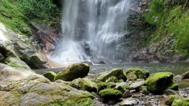 Şelale, ormandaki nehir.