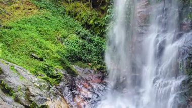 Ormanda güzel bir şelale