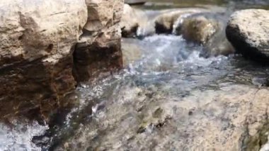 Ormanda güzel bir şelale