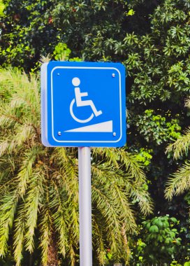 Tekerlekli sandalye sembollü mavi erişilebilirlik işareti canlı yeşil yaprakların ve palmiye ağaçlarının önünde duruyor..