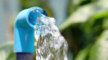 Bahçedeki sulama tenekesi. Bahçedeki bitkileri sularlar..