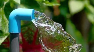 Mavi suyla bardağı kapat.