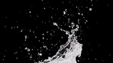 Su damlaları siyah arkaplanda izole