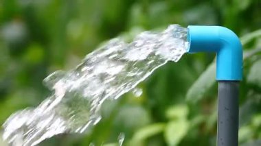 Yeşil otların arka planında su musluğu