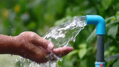 Bahçedeki bitkileri sulayan adam