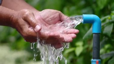 Bahçedeki çiçekleri suluyorum.